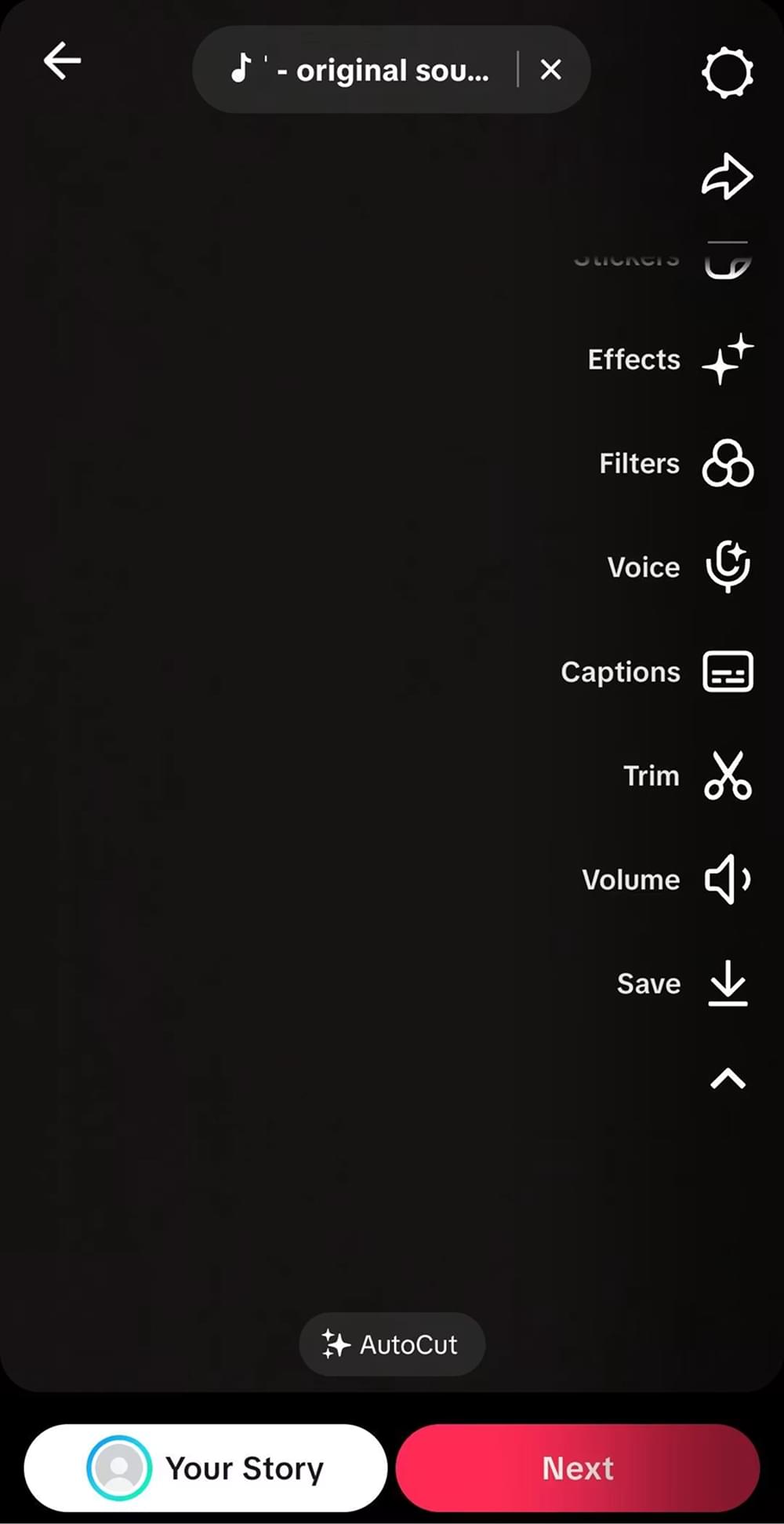 Tap the Captions Button on TikTok Tap the Captions Button on TikTok