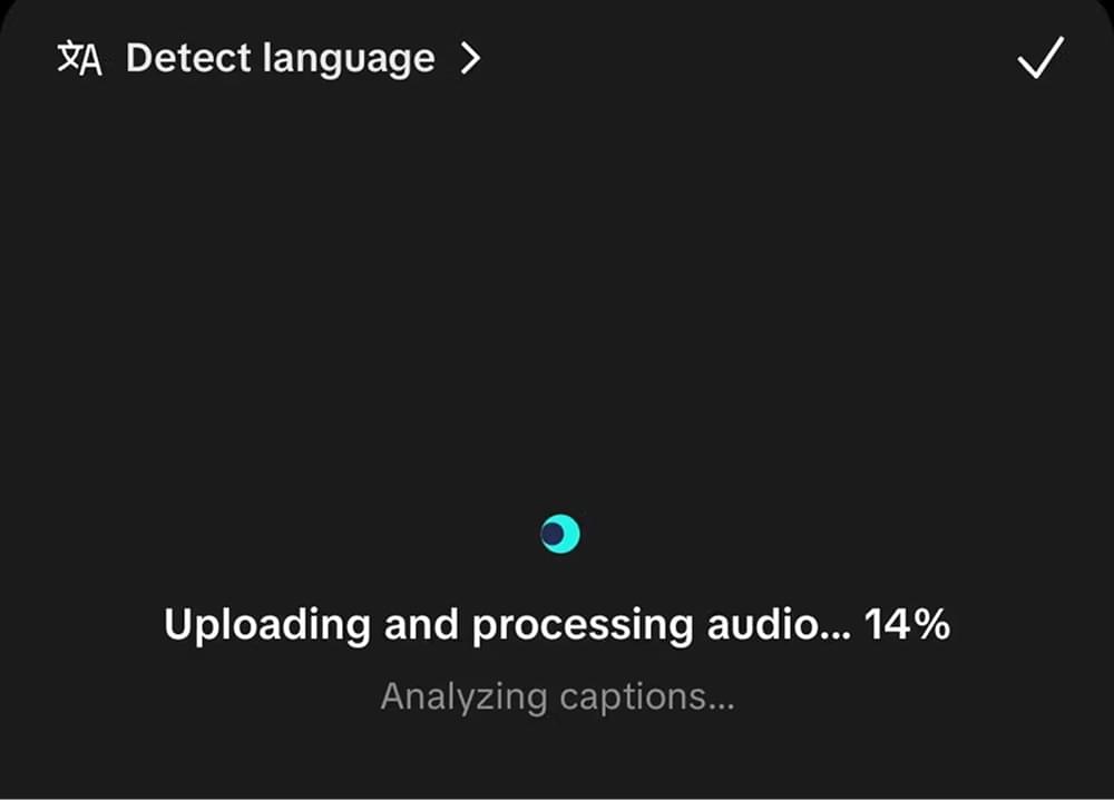 TikTok subtitle transcription processing TikTok subtitle transcription processing