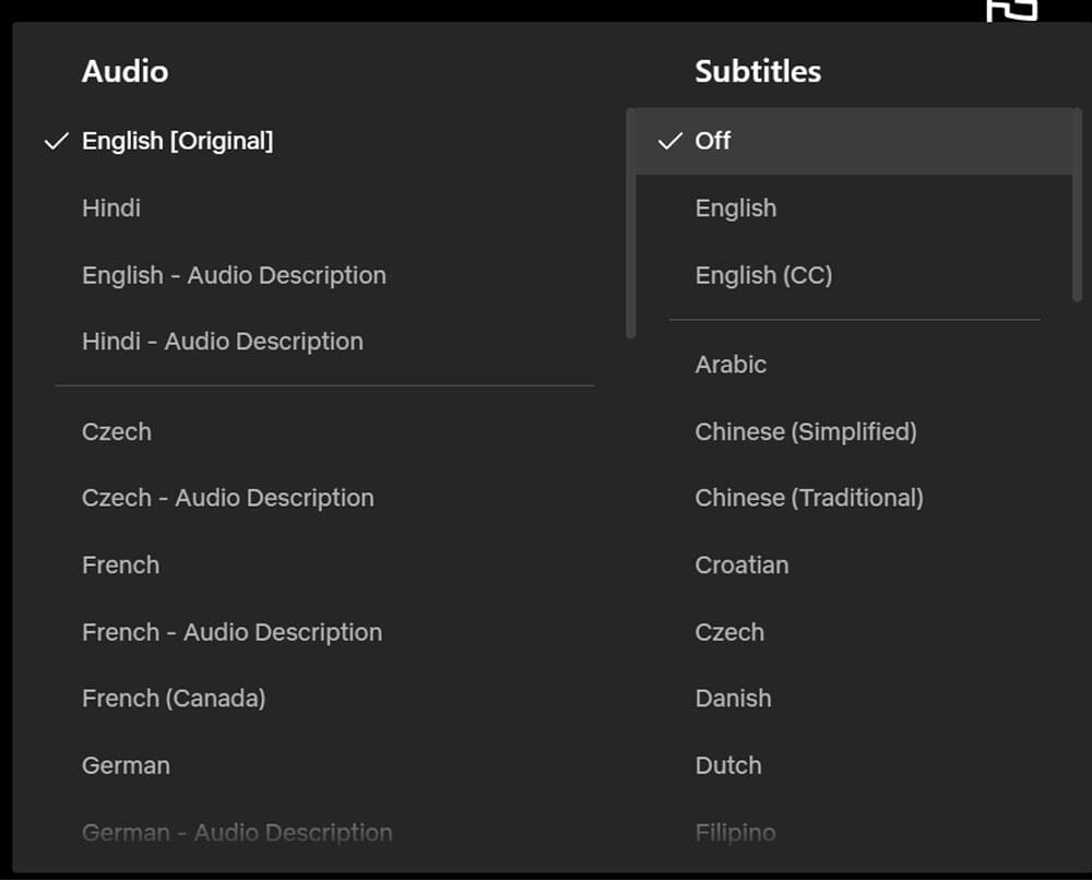 Turn Off Netflix Subtitles